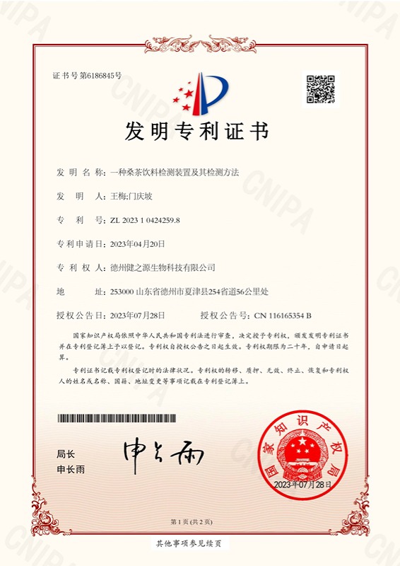 发明专利01