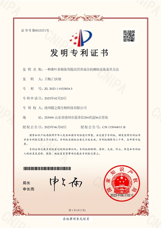 发明专利02